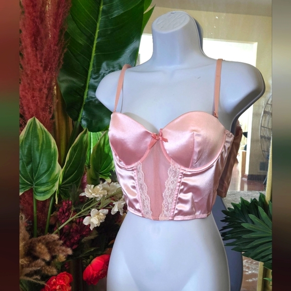 Sexy Powder Pink Lace Silky Soft Bustier - Picture 1 of 8